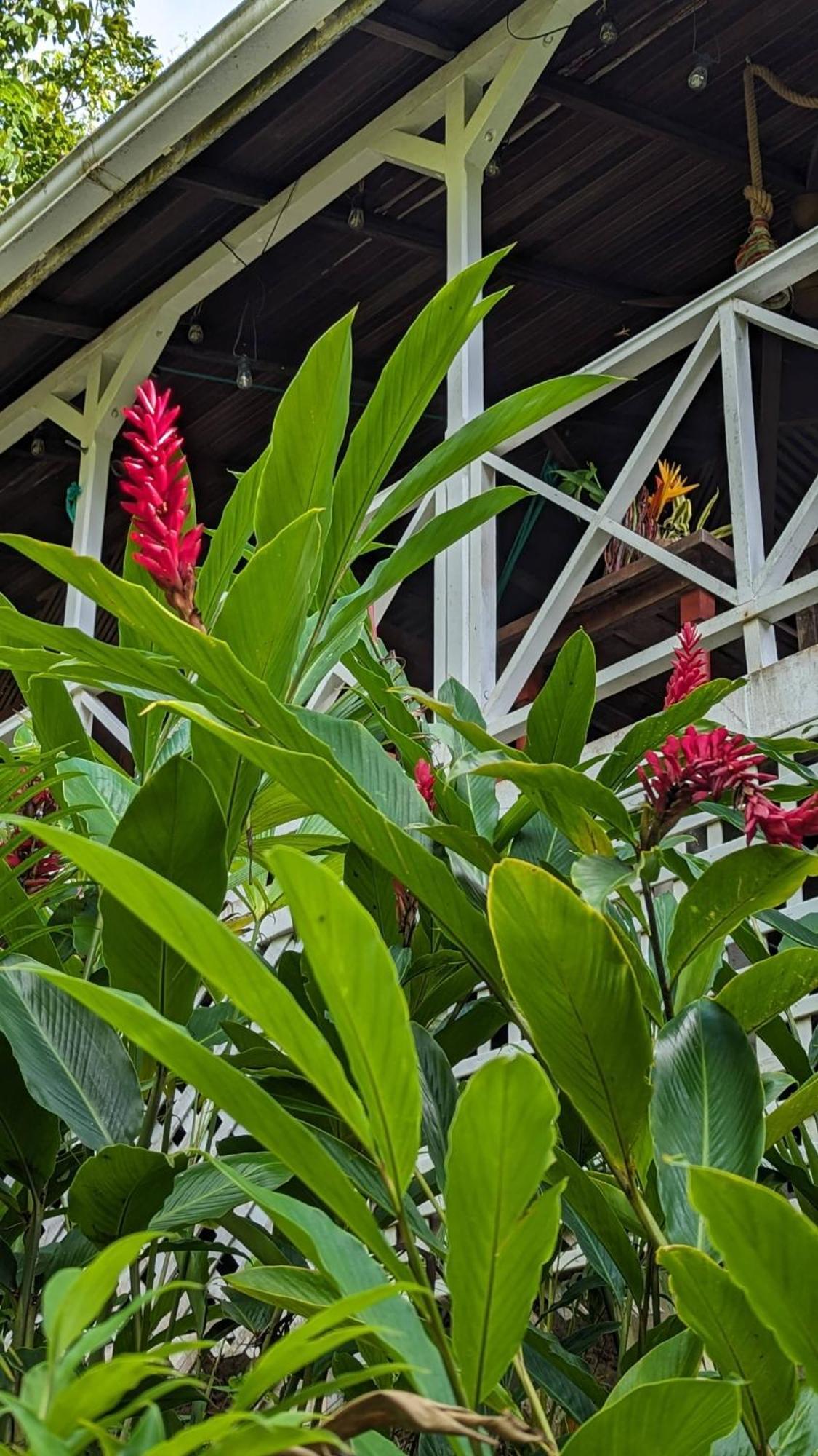 Ecolodges Karet デエエ エクステリア 写真