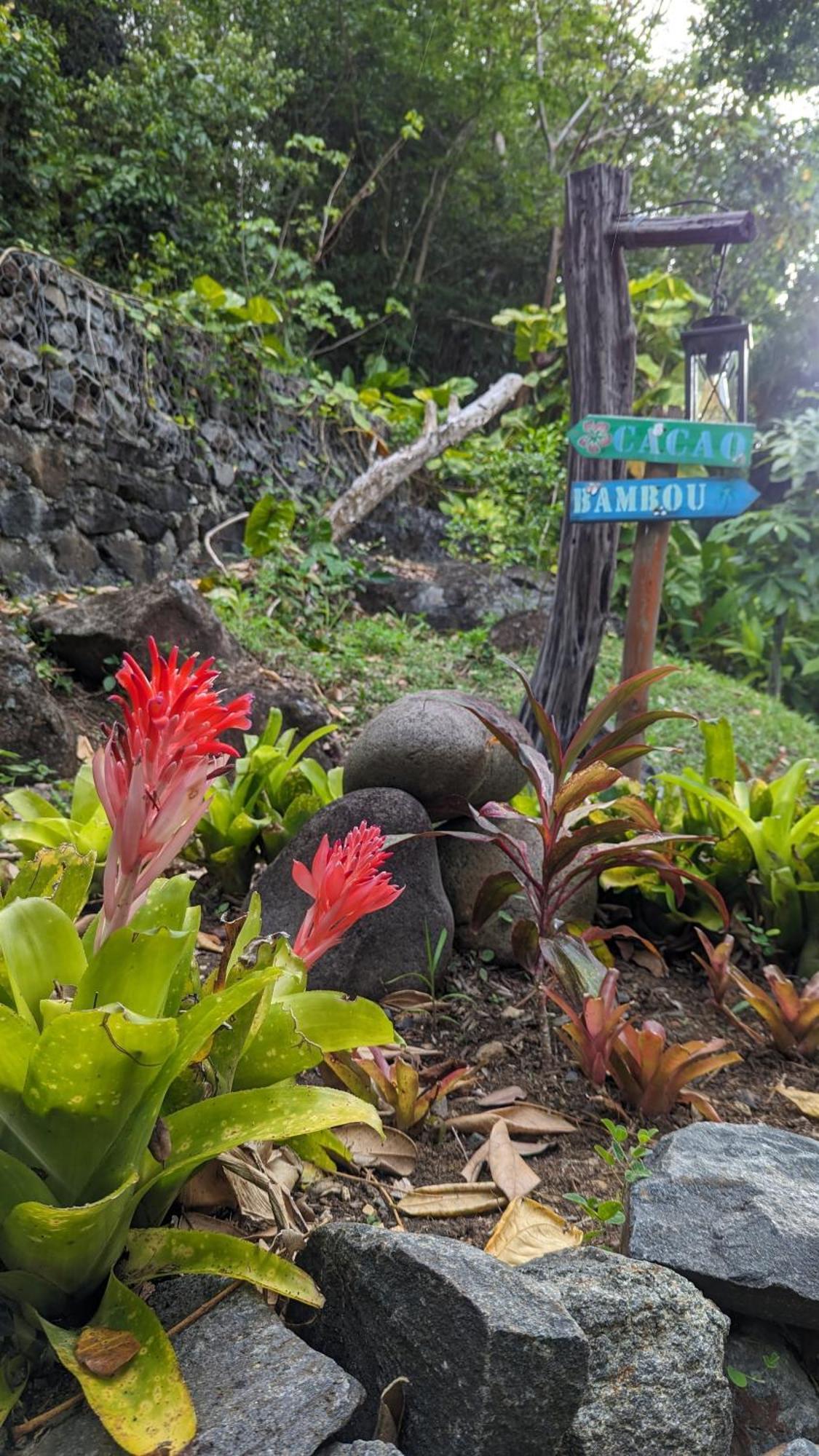 Ecolodges Karet デエエ エクステリア 写真