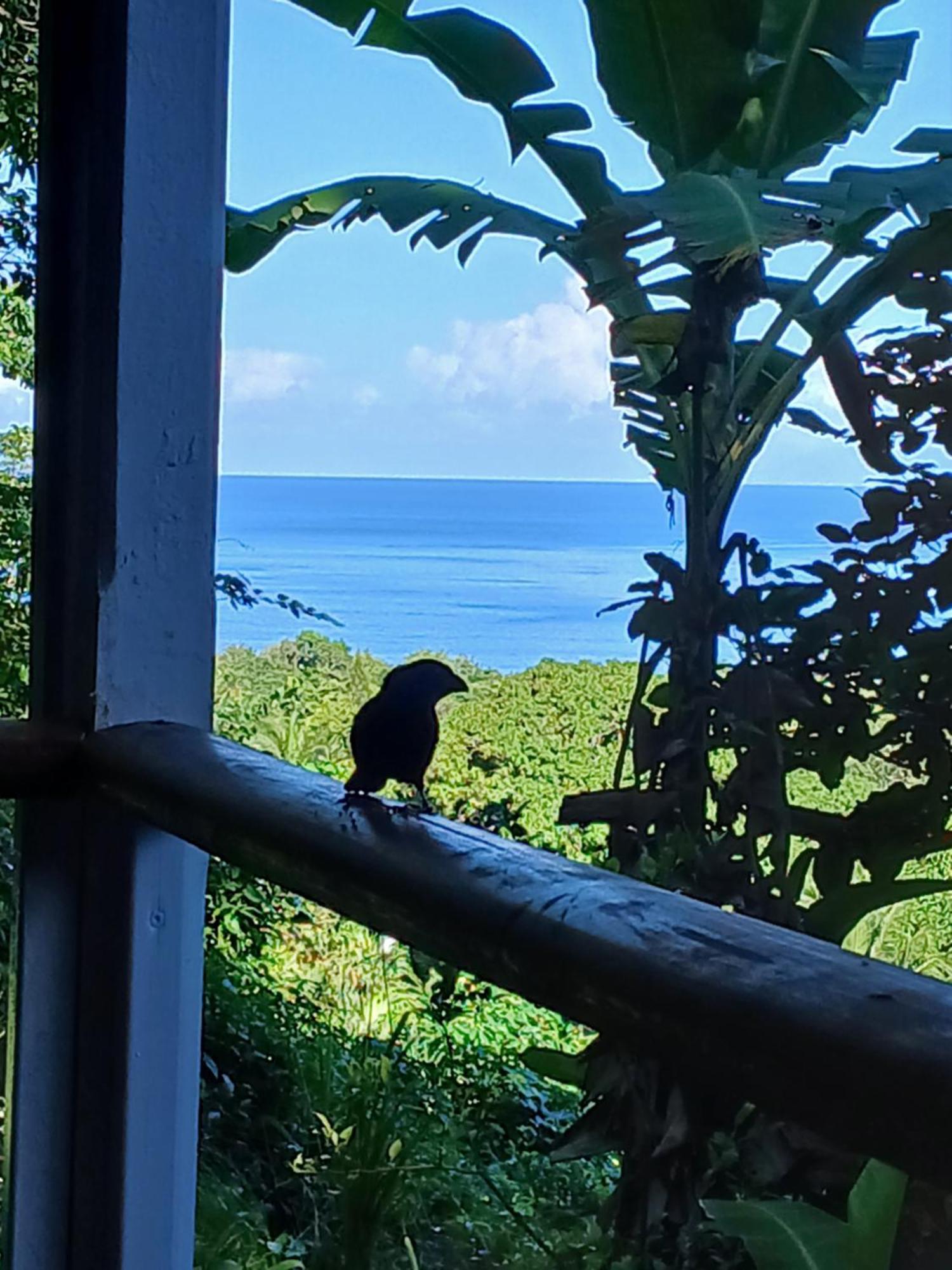 Ecolodges Karet デエエ エクステリア 写真